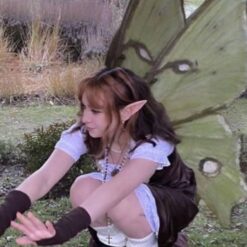 Alternative view of گوش الف