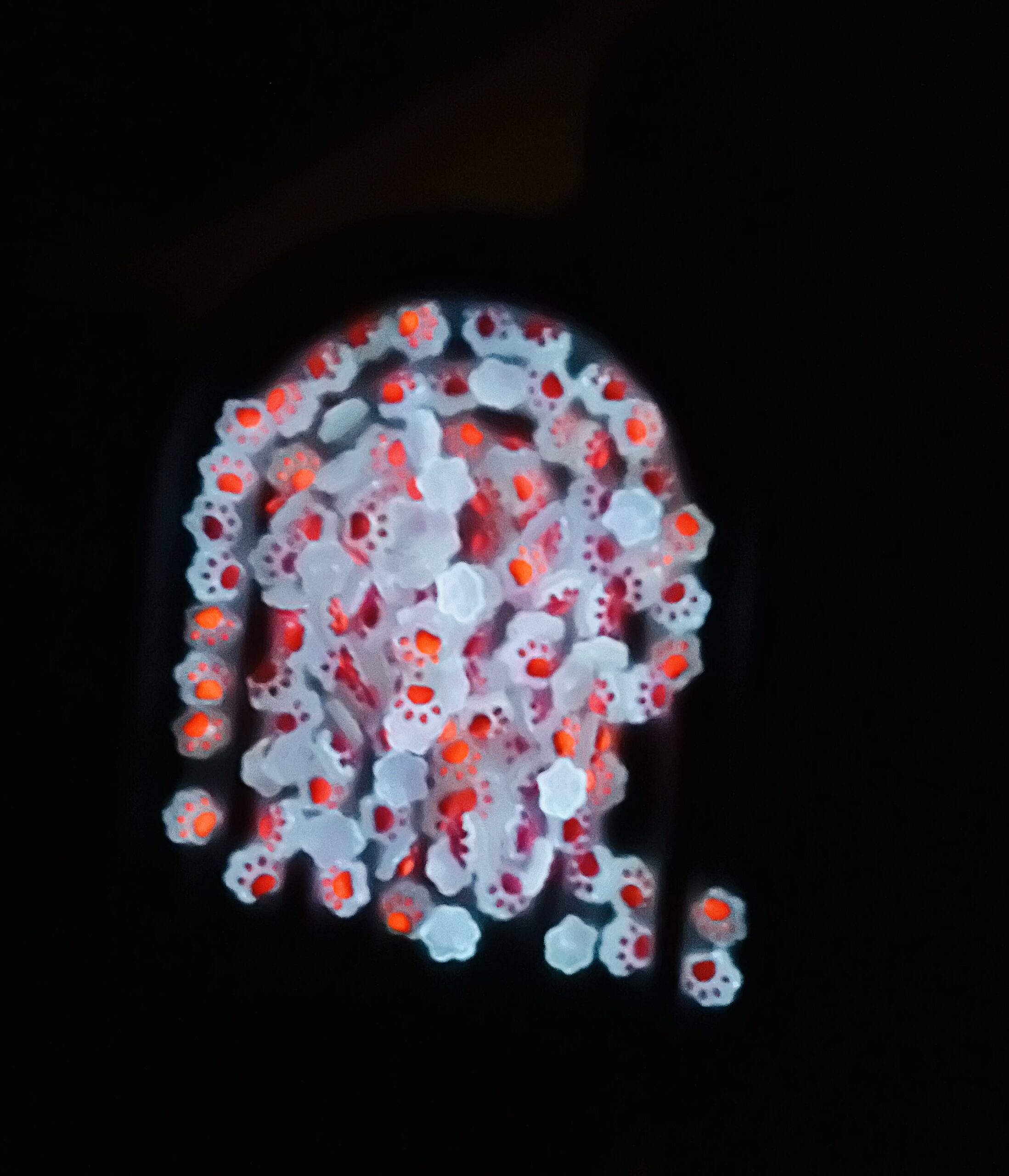 پیکسل طرح پنجه شبتاب کد 2236 - Image 6