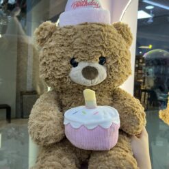 Alternative view of پتو بالشتی تدی تولدی کد 2721