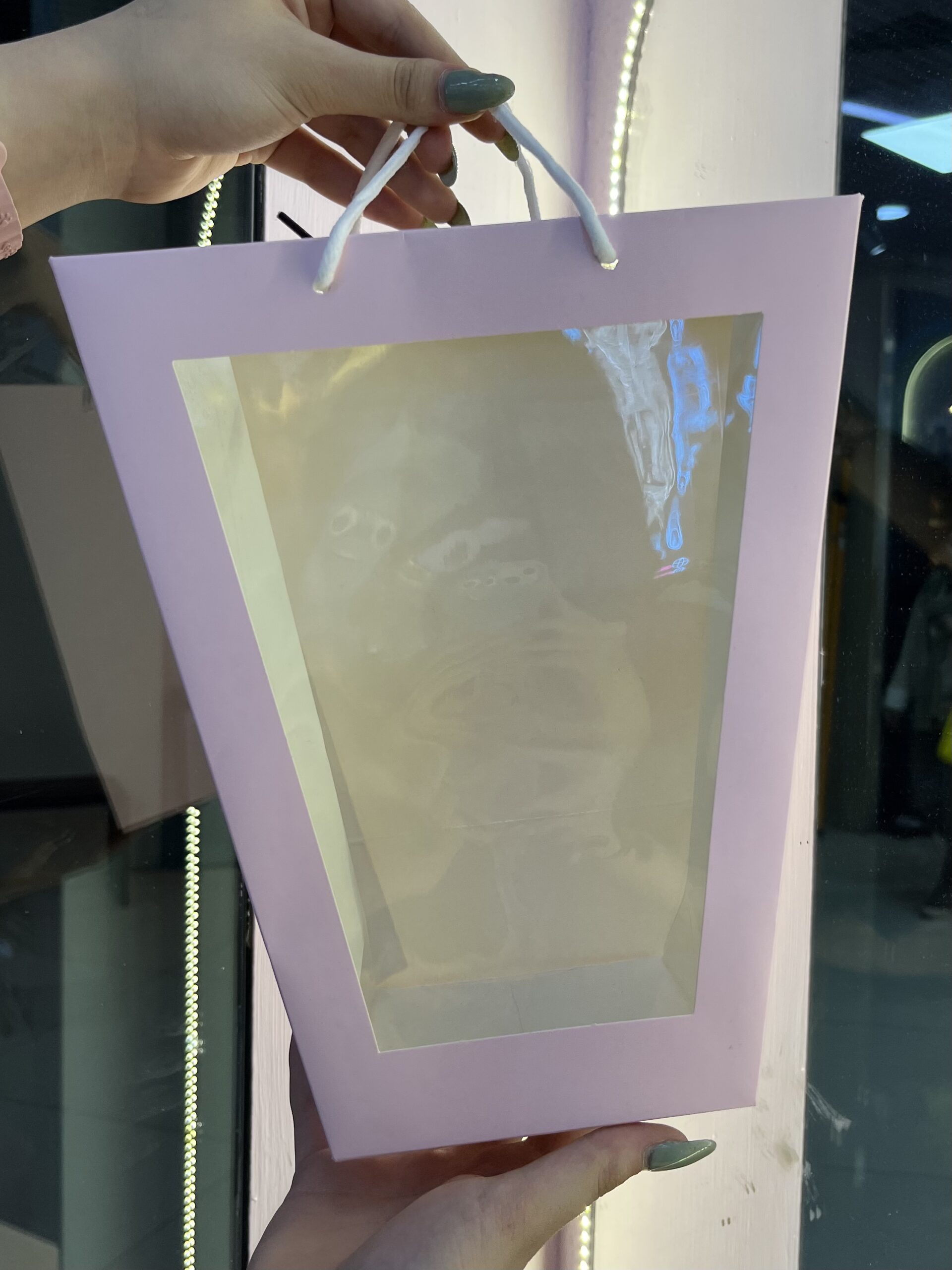 بگ کادویی شفاف کد 2737