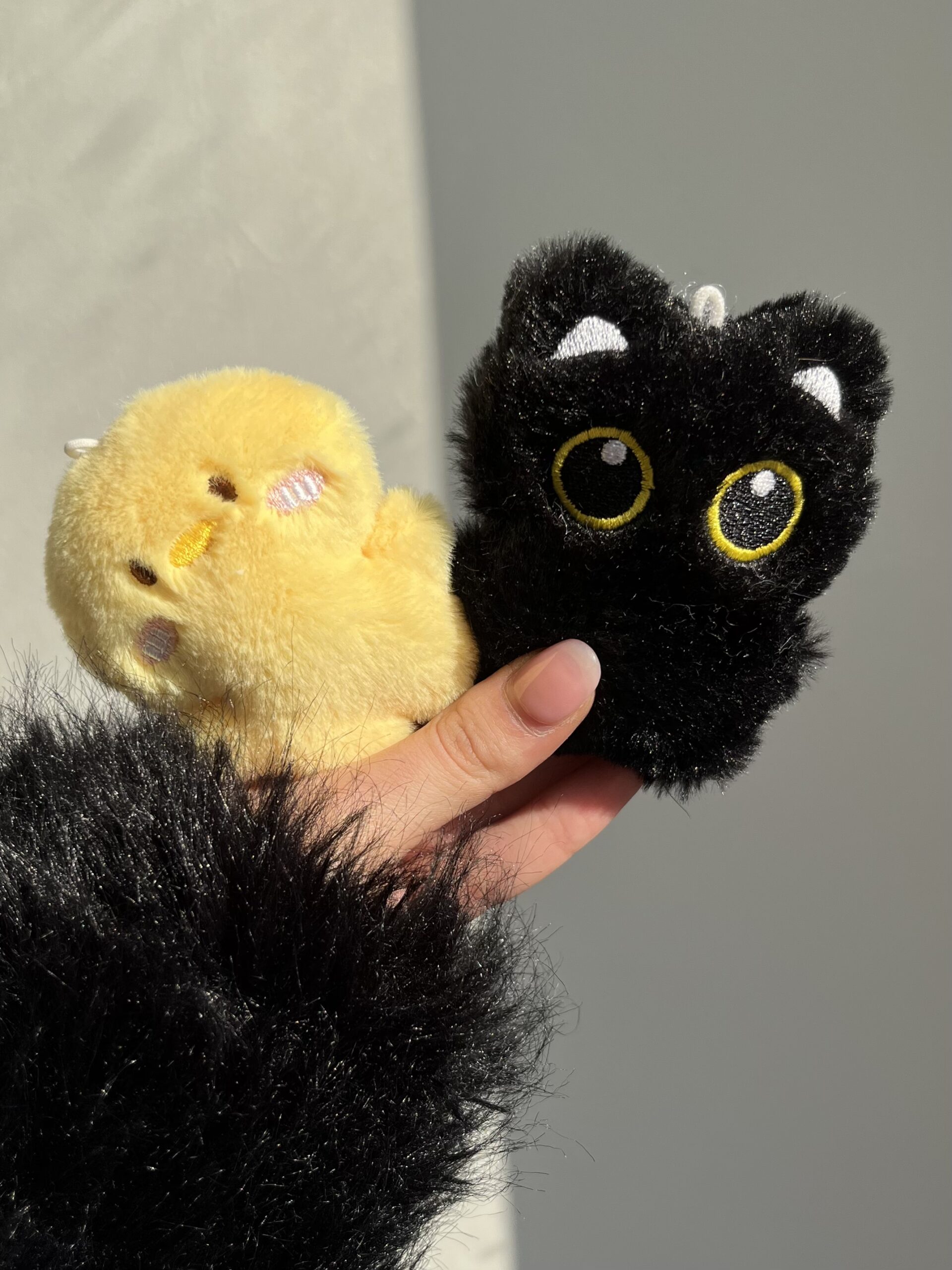 پلاک پولیشی چارم پیشی و جوجه کد 2888