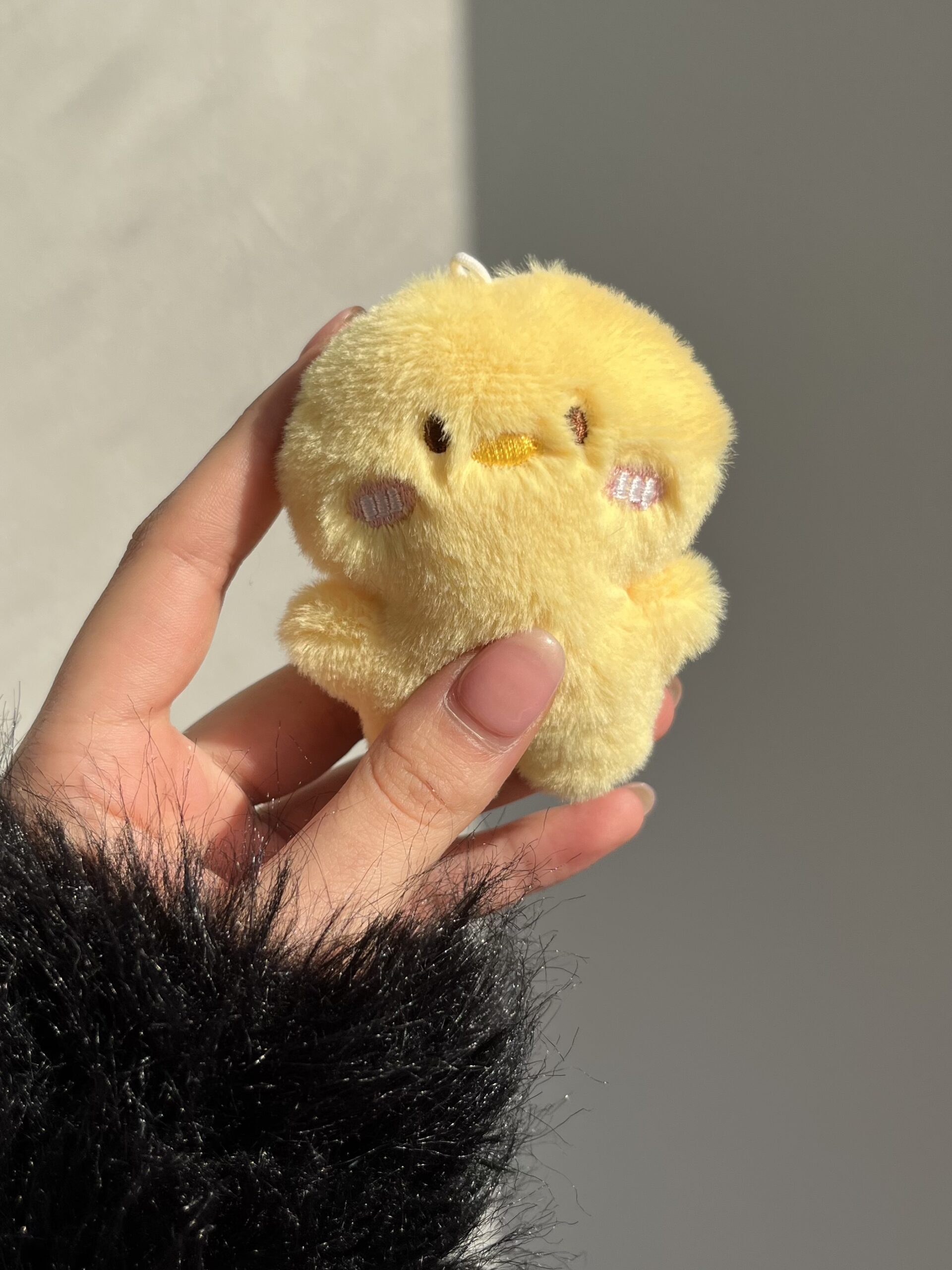 پلاک پولیشی چارم پیشی و جوجه کد 2888 - Image 2