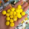 مینی فیگور جوجه‌های تپلی کد 3479
