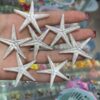 پلاک براق ستاره ظریف کد 3703