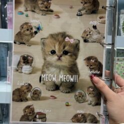 Alternative view of کلاسور شفاف پیشی !!MEOW MEOW کد 4886